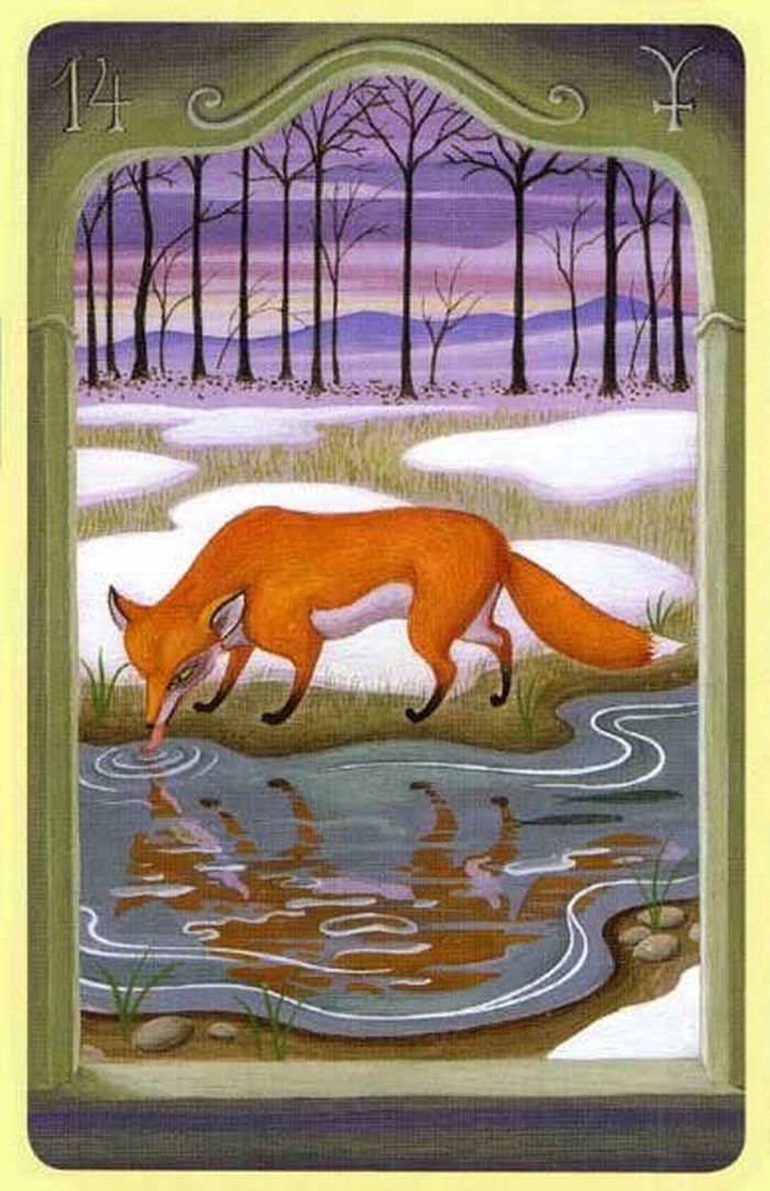 O conselho do tarô para a próxima semana 5