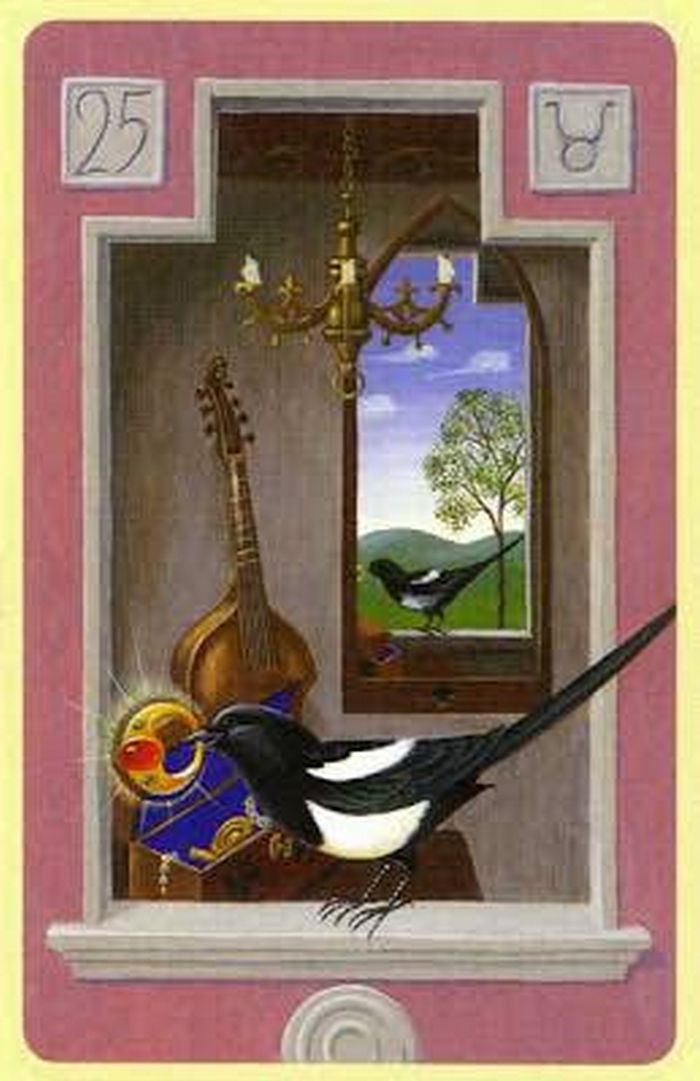 O conselho do tarô para a próxima semana 6