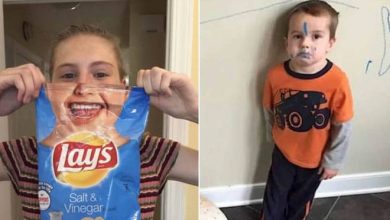 19 fotos aleatórias para alegrar o dia 25