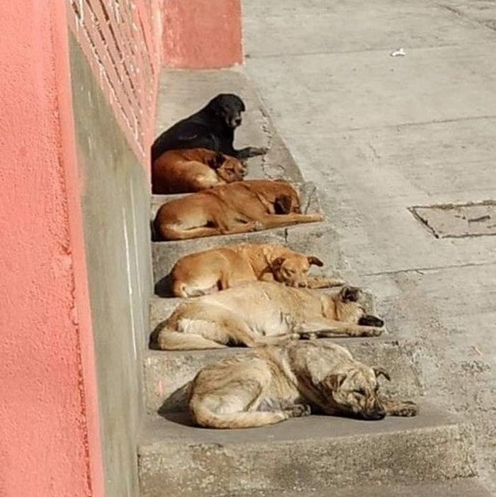 21 fotos hipnotizantes que irão incomodar sua mente 12 21 fotos hipnotizantes que irão incomodar sua mente 12