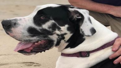 21 fotos hipnotizantes que irão incomodar sua mente 26