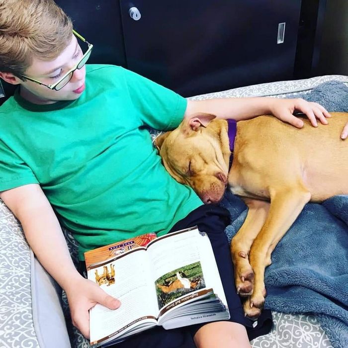 18 fotos que provam que não há nada mais precioso do que um coração amável 11 18 fotos que provam que não há nada mais precioso do que um coração amável 11