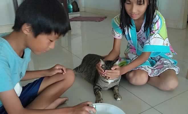 18 fotos que provam que não há nada mais precioso do que um coração amável