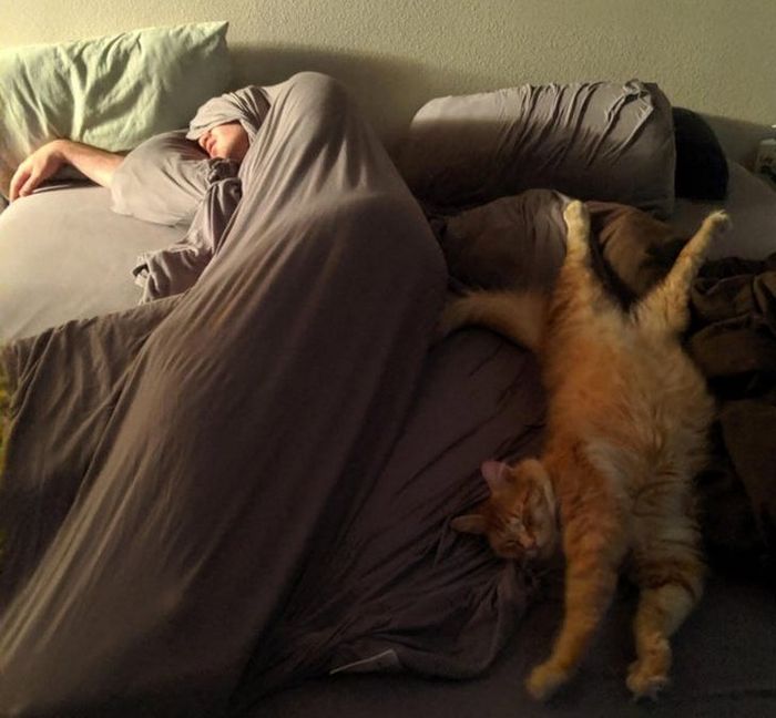 23 momentos tocantes com seu bichinho de estimação 3