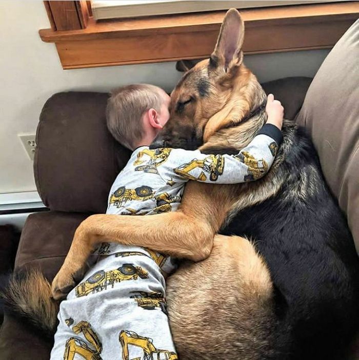 23 momentos tocantes com seu bichinho de estimação 4