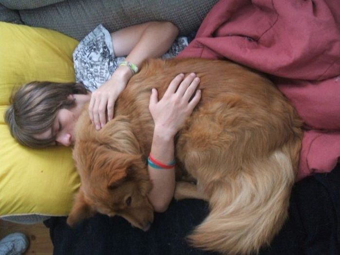 23 momentos tocantes com seu bichinho de estimação 10