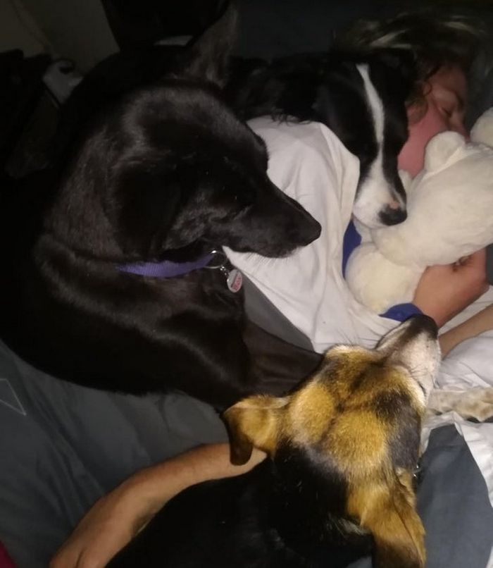 23 momentos tocantes com seu bichinho de estimação 12