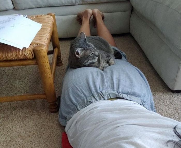 23 momentos tocantes com seu bichinho de estimação 13