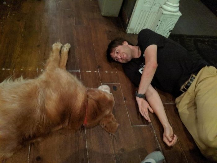 23 momentos tocantes com seu bichinho de estimação 15