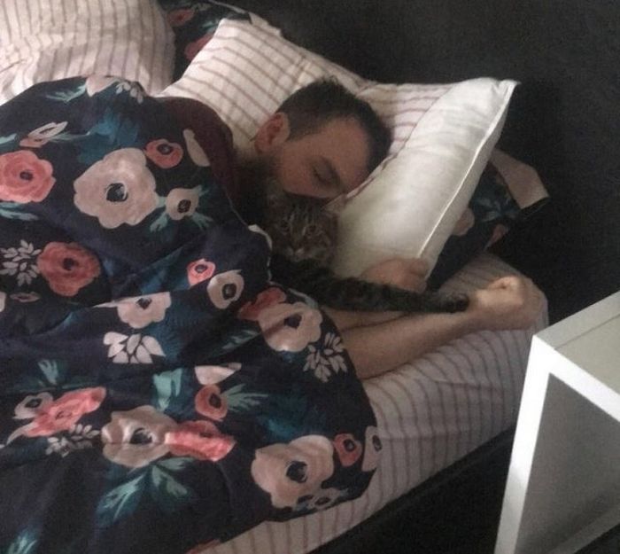 23 momentos tocantes com seu bichinho de estimação 17