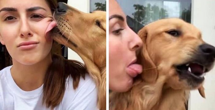 23 momentos tocantes com seu bichinho de estimação 23