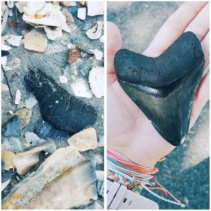 25 pessoas mostram as coisas esquisitas entre os mais raros que já tiveram nas mãos 1