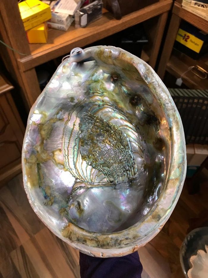 25 pessoas mostram as coisas esquisitas entre os mais raros que já tiveram nas mãos 14