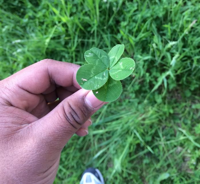 25 pessoas mostram as coisas esquisitas entre os mais raros que já tiveram nas mãos 17