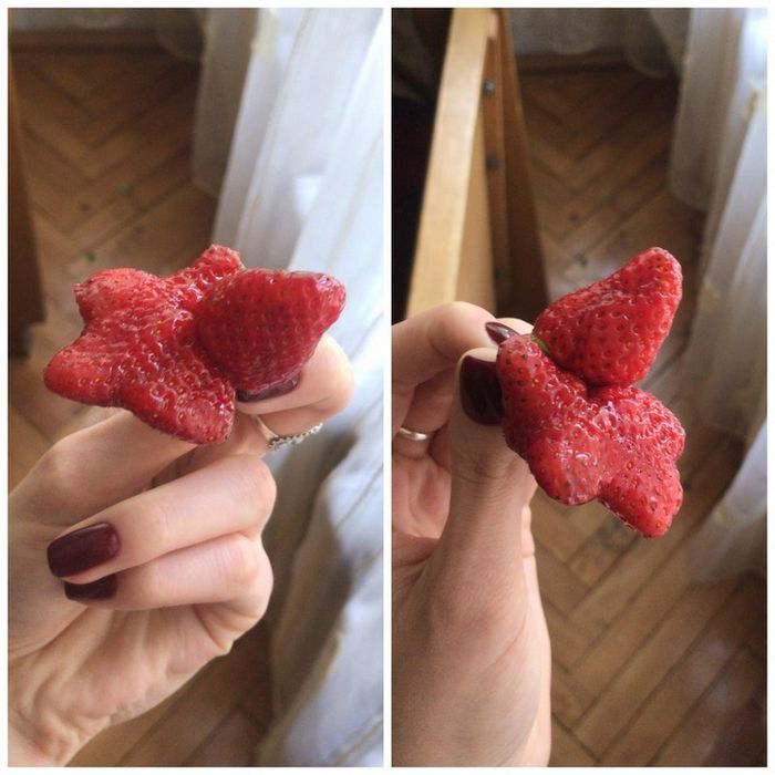 25 pessoas mostram as coisas esquisitas entre os mais raros que já tiveram nas mãos 23