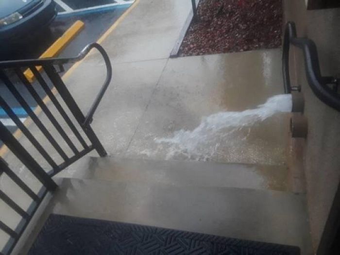 20 pessoas que falharam no seu primeiro trabalho 8