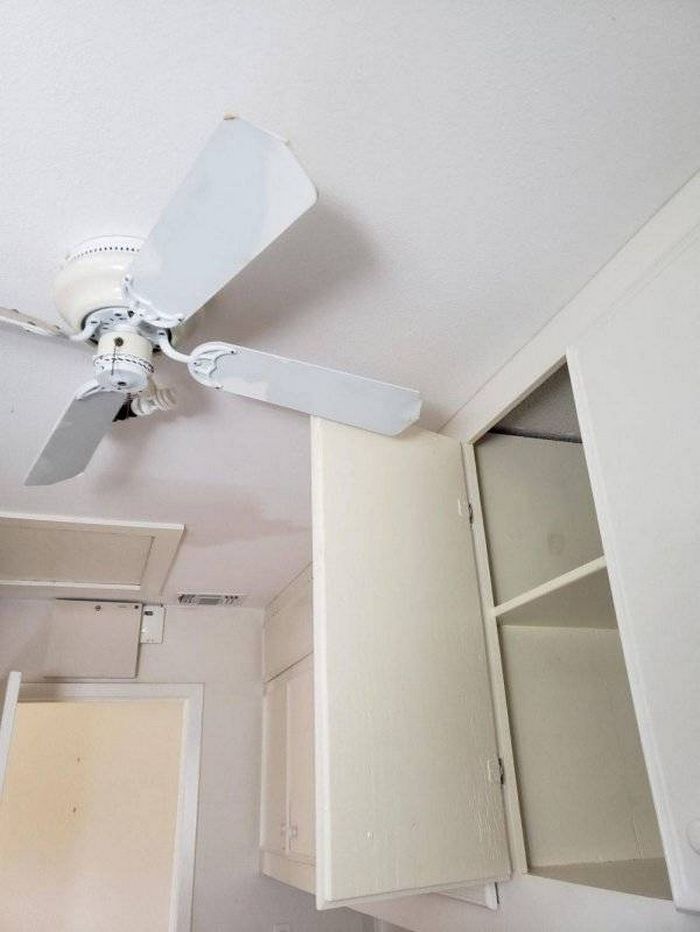 20 pessoas que falharam no seu primeiro trabalho 18