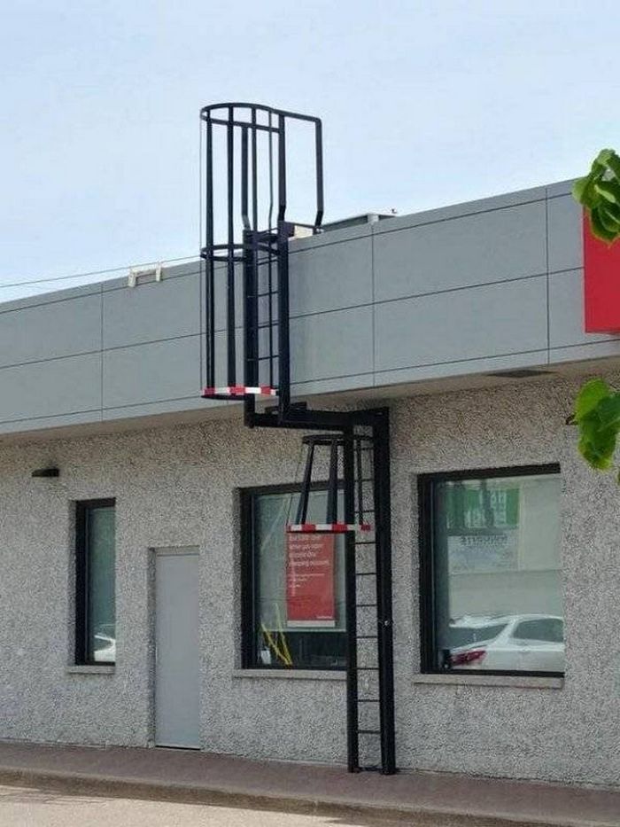 20 pessoas que falharam no seu primeiro trabalho 20