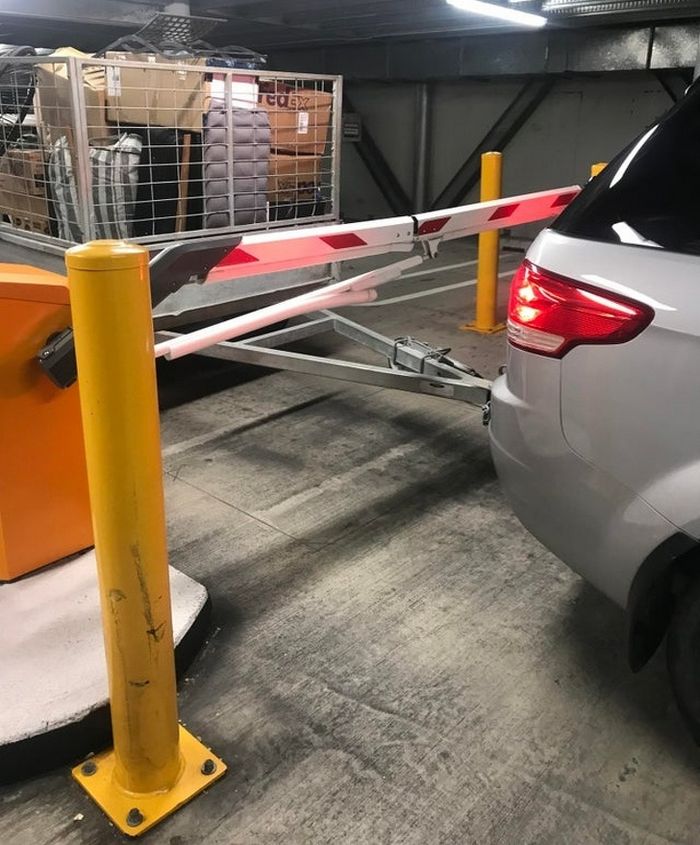 16 pessoas que sua vida poderia ser um roteiro de uma Programas de TV 8