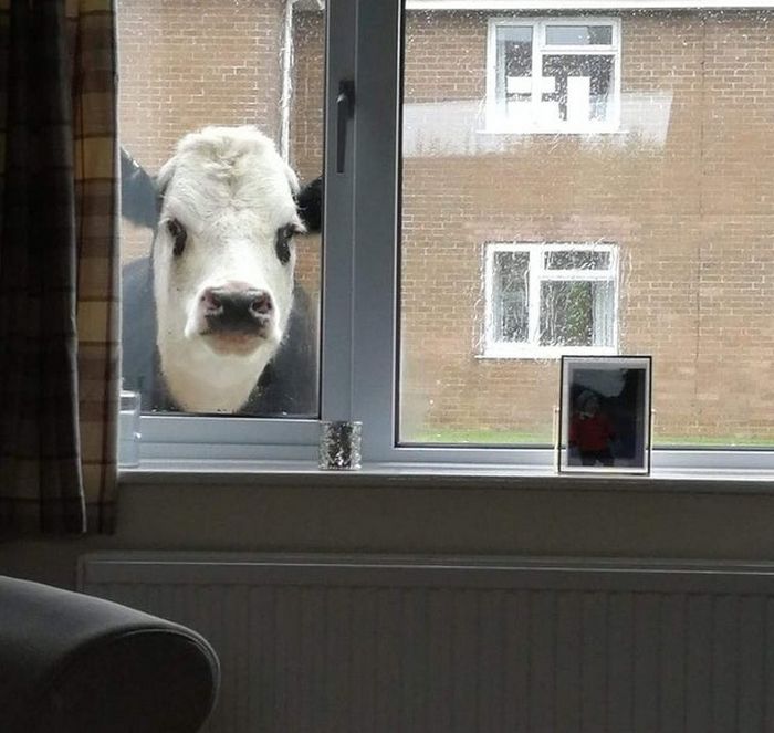 16 pessoas que sua vida poderia ser um roteiro de uma Programas de TV 10