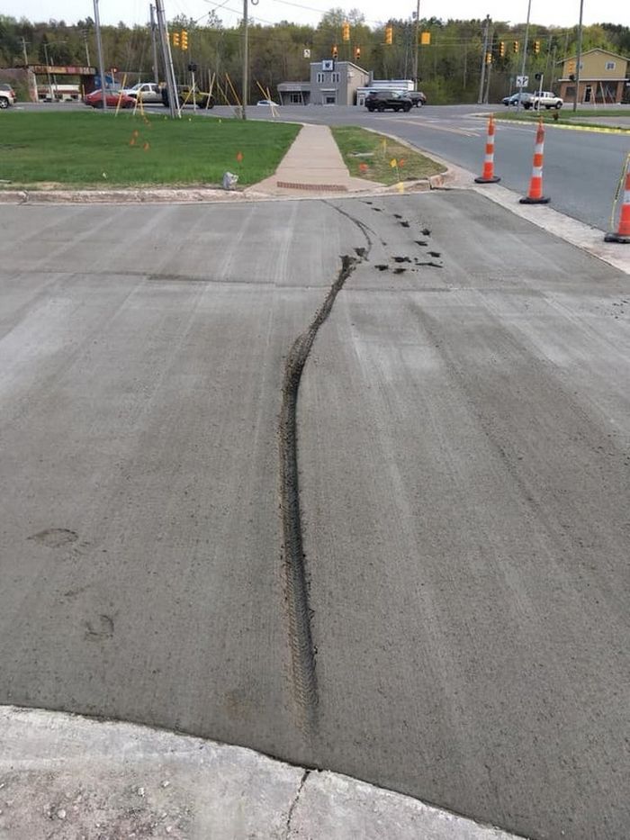 16 pessoas que sua vida poderia ser um roteiro de uma Programas de TV 13