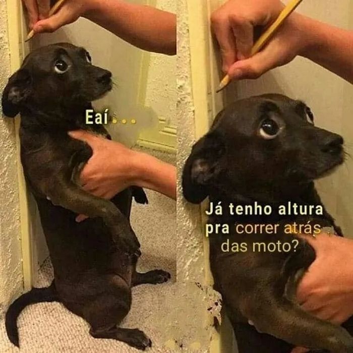 22 piadas simples que provam que dá para fazer humor sem ofender ninguém 2