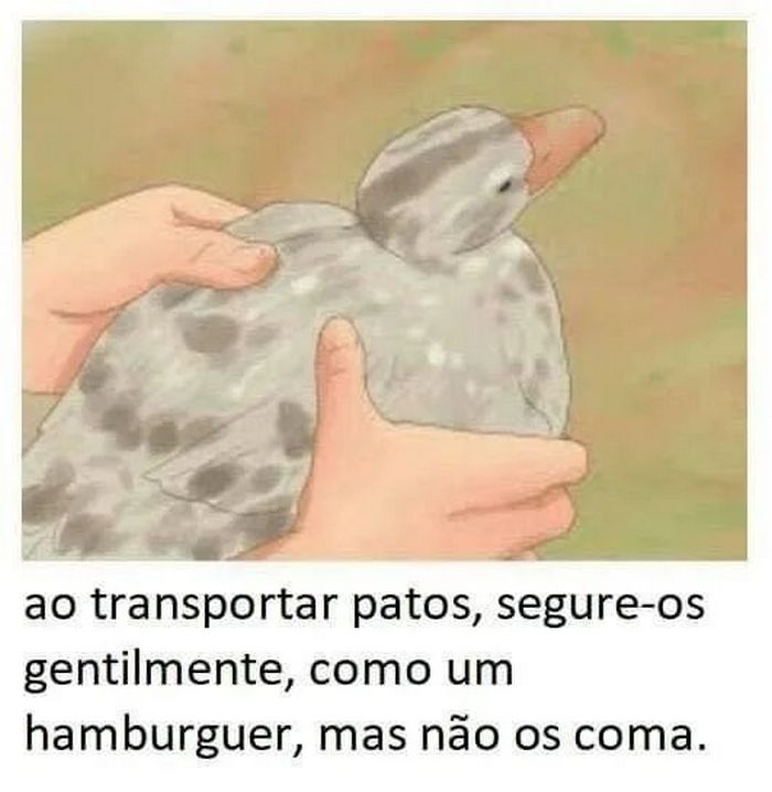 22 piadas simples que provam que dá para fazer humor sem ofender ninguém 3