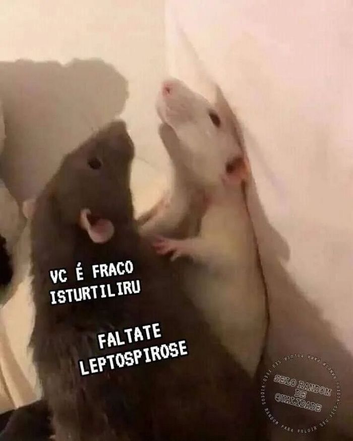 22 piadas simples que provam que dá para fazer humor sem ofender ninguém 11