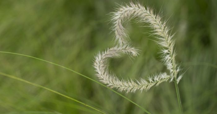 10 poemas de amor para namorada: Declare seus sentimentos com poesia 5