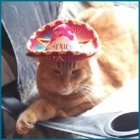 20 coisas esquisitas encontradas em brechós de fazer sorrir