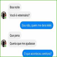Procura-se veterinário para cuida de uma gata