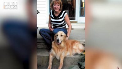 Os 4 animais que surpreenderam o mundo 8