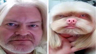 14 motivos que o senso humor masculino e a lógica não faz sentido nenhum 36