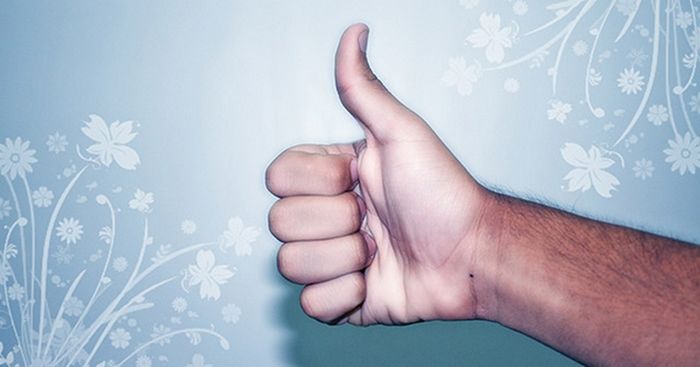 15 passos poderosos para alcançar a felicidade 4 15 passos poderosos para alcançar a felicidade 4
