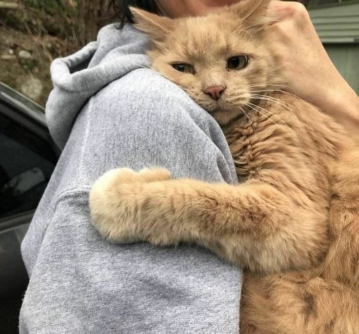 20 pessoas com seus animais que demonstra todo o seu amor 4