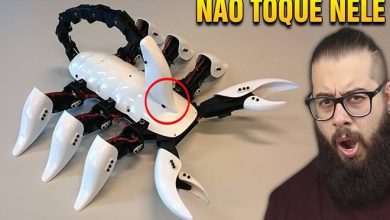 8 robôs mais estranhos e curiosos do mundo 6