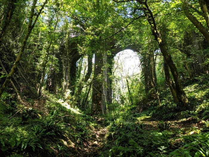 20 vezes que a natureza fez o mundo se curvar diante dele 3