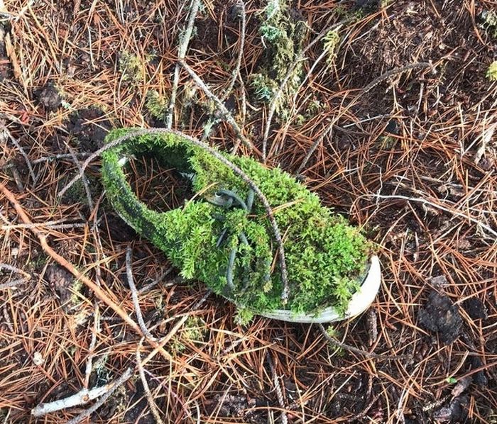 20 vezes que a natureza fez o mundo se curvar diante dele 7