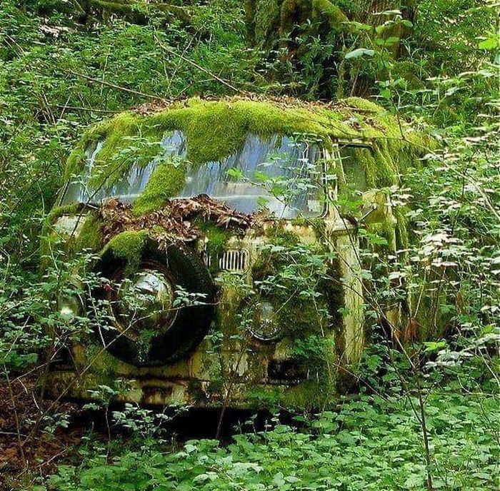 20 vezes que a natureza fez o mundo se curvar diante dele 11