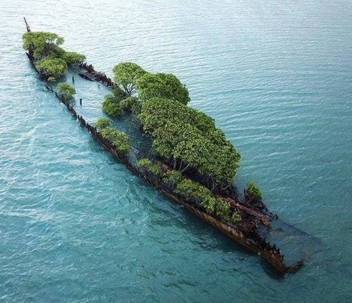 20 vezes que a natureza fez o mundo se curvar diante dele 12