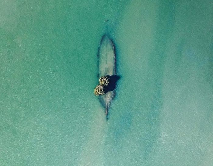 20 vezes que a natureza fez o mundo se curvar diante dele 14