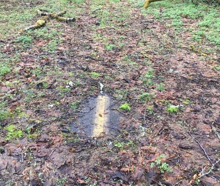 20 vezes que a natureza fez o mundo se curvar diante dele 16