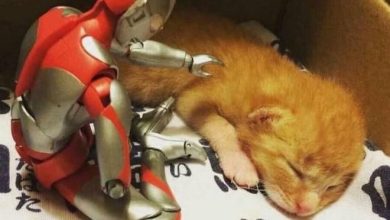 Esta é a verdadeira amizade 17