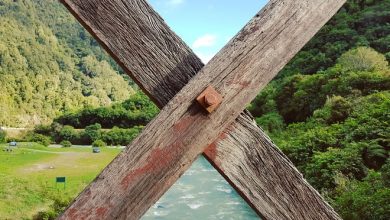 32 fotos tão incríveis que é difícil acreditar que não foram editadas 38