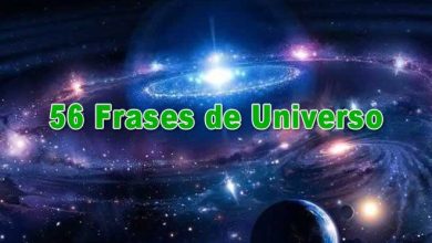 56 Frases de Universo