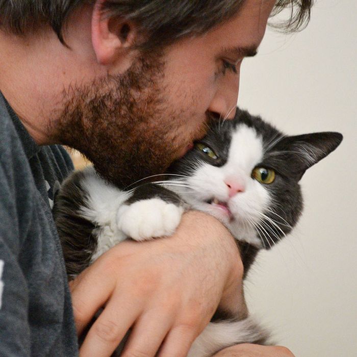 Gatos que odeiam estar em selfies com seus humanos (21 fotos) 1 Gatos que odeiam estar em selfies com seus humanos (21 fotos) 1