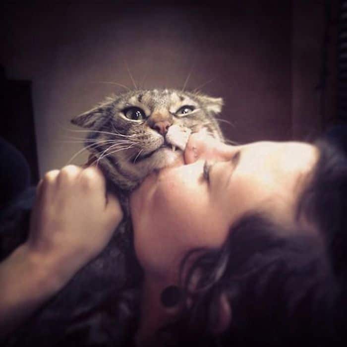 Gatos que odeiam estar em selfies com seus humanos (21 fotos) 3 Gatos que odeiam estar em selfies com seus humanos (21 fotos) 3