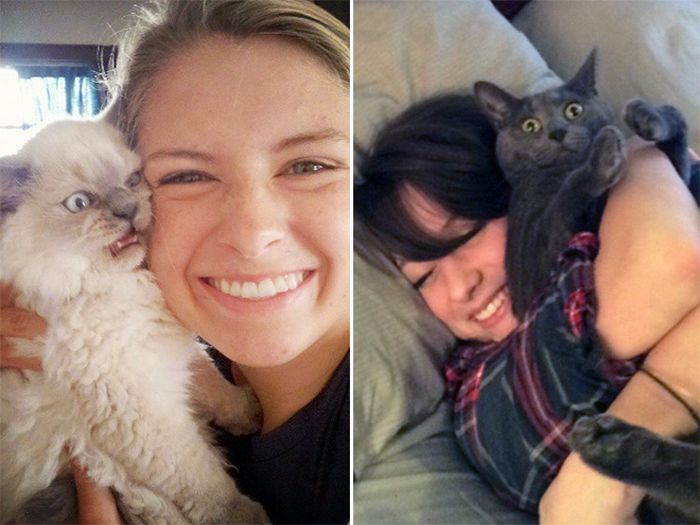 Gatos que odeiam estar em selfies com seus humanos (21 fotos) 8 Gatos que odeiam estar em selfies com seus humanos (21 fotos) 8