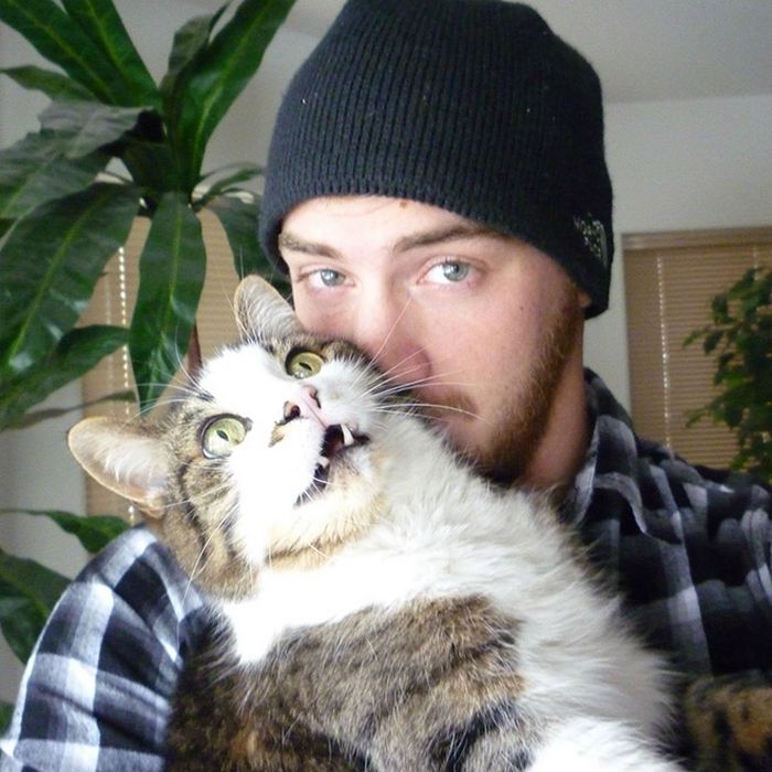 Gatos que odeiam estar em selfies com seus humanos (21 fotos) 14