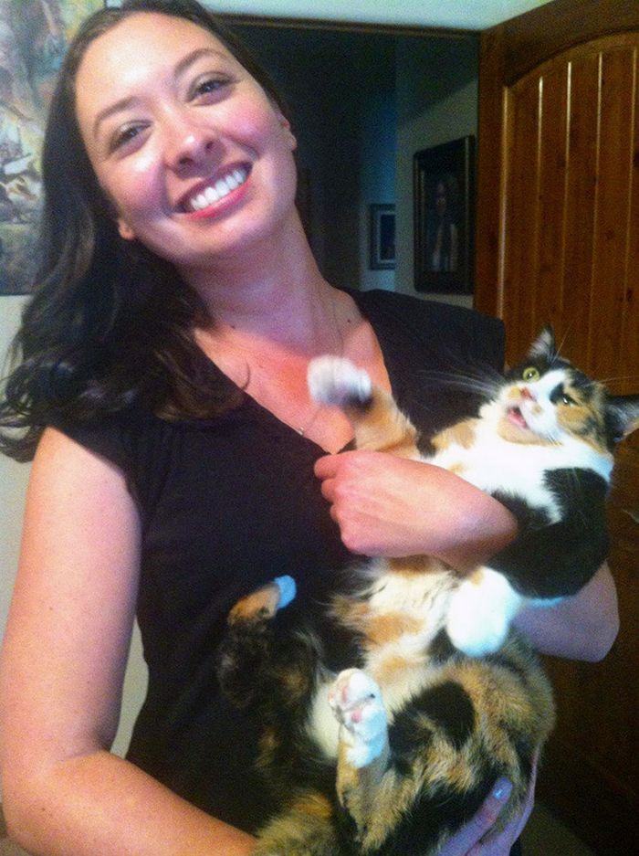 Gatos que odeiam estar em selfies com seus humanos (21 fotos) 14 Gatos que odeiam estar em selfies com seus humanos (21 fotos) 14